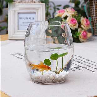 室内绿萝水培花盆玻璃花瓶透明大号水养植物花卉器皿摆件创意插花