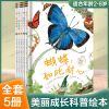 美丽成长科普绘本丛书6册巢如此喧闹蝴蝶如此耐心卵如此安宁种子如此酣睡岩石活泼一年级课外阅读儿童故事书籍甲虫动物科普图画