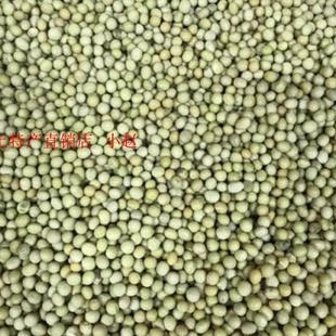 湖北广水特产农家自种新小黄豆发豆芽，打豆浆拍5斤