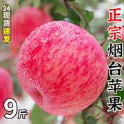 烟台红富士苹果水果新鲜应当季栖霞丑萍果，整箱10斤冰糖心平果
