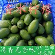 海南香水柠檬新鲜青柠檬无籽清香味5斤奶茶饮品店用