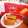 Lotus和情缤咖时焦糖饼干312.5克50片装比利时进口办公室零食