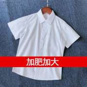 男童白衬衫短袖夏季薄款中小学生校服，黑边条演出礼服纯棉白色衬衣