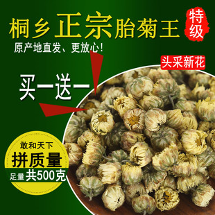 菊花茶桐乡胎菊王特级500g头采正宗杭白菊杭菊贡菊