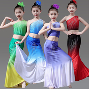 儿童傣族舞演出服装孔雀舞蹈裙傣族服装女标准练习裙饰艺考服