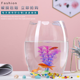 创意水族箱生态圆形玻璃，金鱼缸(金鱼缸)大号，乌龟缸迷你小型造景水培花瓶
