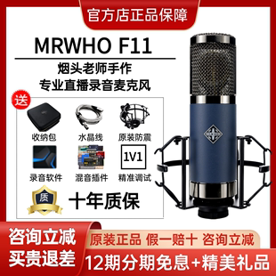mrwhof11大震膜电容话筒，晶体管系列烟头录音棚麦克风直播
