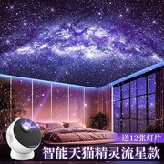 星空投影仪小夜灯精灵，语音声控气氛围感卧室，温馨创意生日礼物