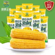 8支新季玉米东北糯玉米新鲜现摘粘玉米棒真空包装黄糯玉米黏苞米