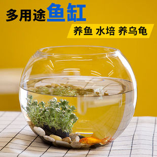办公室小鱼缸加厚透明玻璃乌龟，缸客厅家用桌面，圆形迷你小型金鱼缸(金鱼缸)
