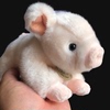 正版toyclub粉色小猪猪公仔毛绒，玩具可爱小猪，宝宝趴趴猪年吉祥物