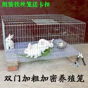 鸡笼铁丝网加粗兔笼兔子鸽子笼家用养殖笼镀锌铁丝笼运输特大号