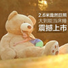 美国大熊毛绒玩具公仔，2.6米泰迪熊抱抱熊布娃娃大号超大生日礼物