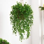 仿真植物5叉圆叶尤加利壁挂藤条，室内装饰吊顶假花吊篮绿萝植物墙