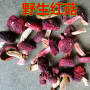建宁红菇福建野生正宗高山红蘑菇干货土产，食用香菇250克