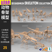 25种不同的动物骨架恐龙，骨骼基础鱼骨，3d模型c4dblender素材a140