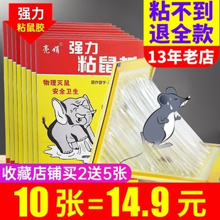 超强力粘鼠板粘大老鼠贴粘鼠胶，捕鼠贴捉神器超强家用一锅端强力胶