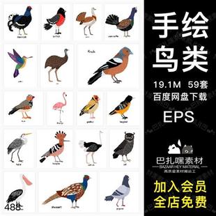59种鸟类猫头鹰火烈鸟老鹰，手绘插画t恤图案印刷eps矢量素材