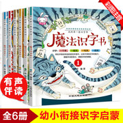 魔法识字书6册 宝宝早教认字卡片3-4-5-6岁学前幼儿阅读与识字书岁幼儿园全套学龄前儿童书籍幼小衔接全脑记忆小班中班教材用书