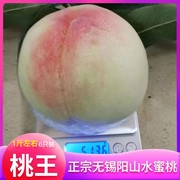 桃王寿桃无锡阳山水蜜桃新鲜水果9两1斤大桃湖景桃子软桃多汁