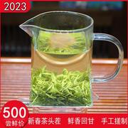 日照绿茶2023新茶春茶散装特级浓香型云雾，高山茶叶50g半斤送礼盒