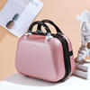 14寸化妆包女士韩版手提箱子小型旅行箱包迷你手提包