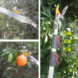 摘野酸枣神器多功能高空，采摘果伸缩高空剪荔枝，龙眼果子摘马蜂窝