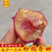 粉糯香甜广州南沙一点红番薯新鲜农家自种板栗红薯冰淇淋紫薯