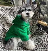 狗狗衣服冬季保暖雪纳瑞柯基法斗八哥比熊泰迪中小型犬猫狗卫衣