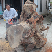 原木纯香樟木块天然老根片实木地板防蛀防潮粉屑木地板专用防虫粉