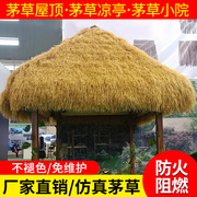 仿真茅草瓦屋顶塑料假毛草，地毯粘贴人造稻草凉亭别墅屋檐网红装饰