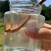 陕西延安槐花蜜蜂蜜土纯正天然野生农家自产蜜糖，洋槐蜜孕妇液态