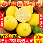 四川安岳黄柠檬(黄柠檬)新鲜水果当季皮薄一级香水，柠萌甜柠檬5斤9