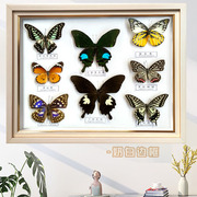承颜真蝴蝶昆虫标本相框，立体原木色长，h方形12寸画框现代简约工