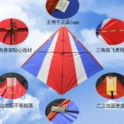 王侉子潍坊冲天追544伞布风筝大人专用高档大型微风易飞风筝儿童