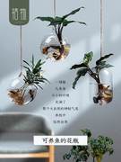 水培透明玻璃花瓶鱼缸吊挂植物可养鱼绿植，悬挂欧式创意果花盆麻绳