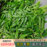 仿真竹叶藤条假竹子枝，装饰造景支塑料，植物缠绕小绿叶毛竹藤蔓柳条