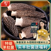 羊肚菌干货野生500g云南特产，新鲜菌菇煲汤食材特级菌子