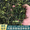 潮州凤凰单丛茶2023新茶，抽湿鸭屎香单枞茶清香型乌岽单从乌龙茶叶