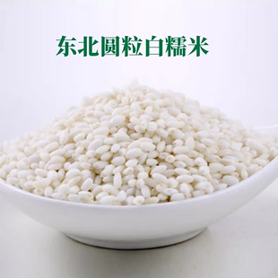 2023年东北粘大米，糯米农家自产江米，粘大米自家种植500克