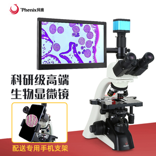 凤凰高清生物显微镜ph100-3b41l-ipl专业无限远物镜，科研三目医用