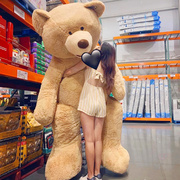 正版美国泰迪熊大熊，玩偶超大号毛绒玩具抱抱熊，布娃娃公仔生日礼物