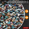 多肉纯颗粒土专用营养土铺面石硅藻土麦饭石沸石轻石火山石虹彩石