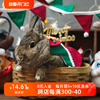 圣诞兔子装饰圣诞衣服旗帜豚鼠龙猫圣诞布草袋草架牵引绳兔兔背心