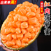 越南红肉菠萝蜜18斤应季树上熟新鲜水果一整个红心波罗蜜整箱