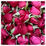 新鲜墨红玫瑰鲜花 做纯露酵素玫瑰酱花材 20元一斤3斤起团购