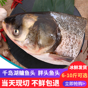 6-10斤可选千岛湖鱼头新鲜胖头鱼头，鳙鱼头鲢，鱼头淡水鱼水产
