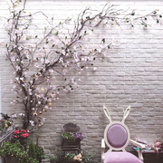 仿真藤条树藤装饰空调管遮挡缠绕植物花藤树枝背景店铺墙面绿植花