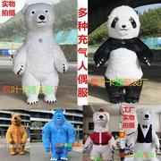充气大熊猫卡通人偶服装网红抖音同款北极熊青蛙宣传演出超人衣服