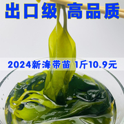 盐渍海带苗荣成5斤新鲜海带苗，小苗火锅凉拌做汤半干，嫩苗小海带芽